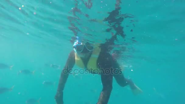 Selfie di immersioni subacquee nella Grande Barriera Corallina, Australia — Video Stock