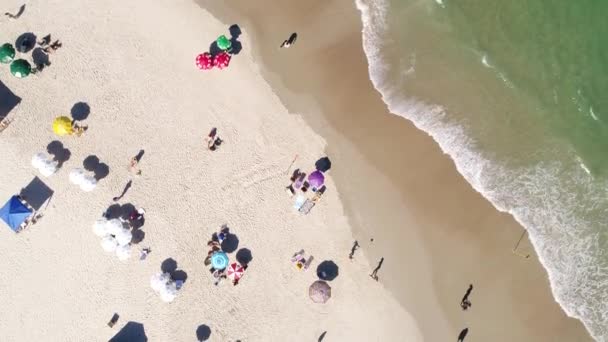 Widok z góry z plaży w Brazylii — Wideo stockowe