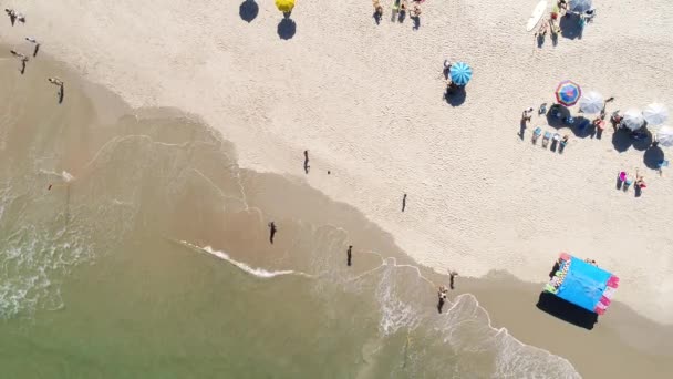 Ovanifrån på en strand i Brasilien — Stockvideo