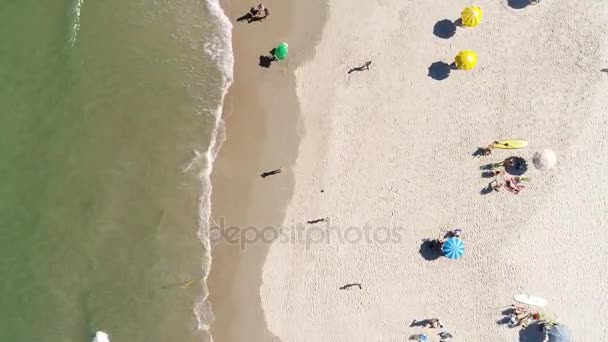 Vue du dessus d'une île paradisiaque 