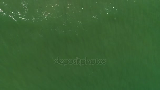 Vue du dessus des vagues dans une plage — Video