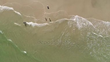 Bir sahilde dalgaların Üstten Görünüm