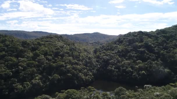 Widok z lotu ptaka gór w Rainforest — Wideo stockowe
