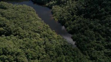 Yağmur ormanlarında, Latin Amerika Nehri'nin havadan görünümü