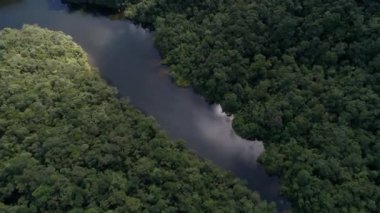 Yağmur ormanlarında, Latin Amerika Nehri'nin havadan görünümü