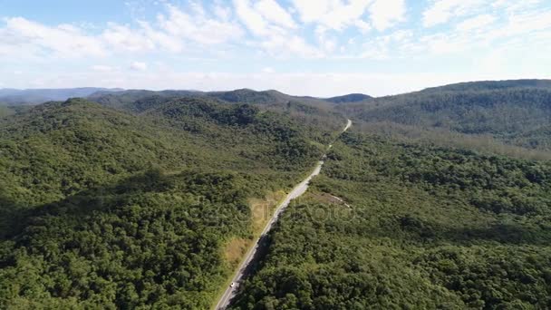 Vista aérea de una carretera y un bosque — Vídeo de stock