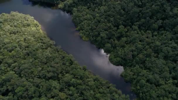 Luchtfoto van de rivier in het regenwoud, Latijns-Amerika — Stockvideo