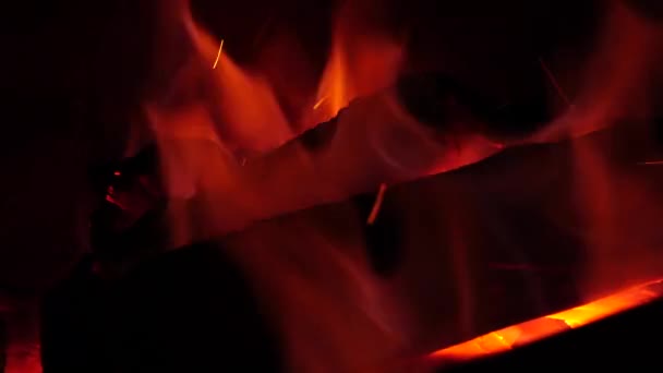 Вугілля і полум'я в грилі барбекю — стокове відео