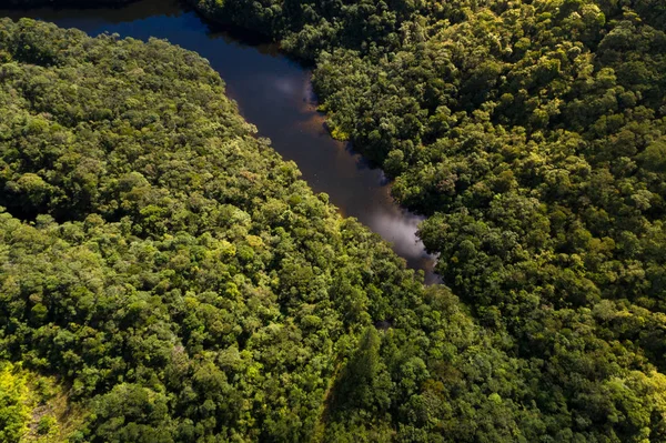 河在雨林，拉丁美洲的鸟瞰图 — 图库照片
