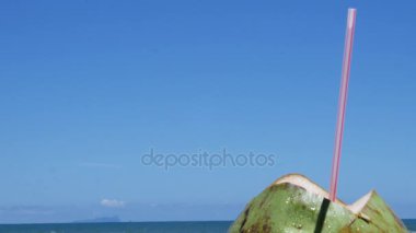 Hindistan cevizi ile plaj arka plan