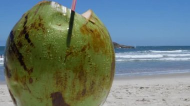 Hindistan cevizi ile plaj arka plan