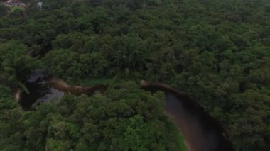 Amazon yağmur ormanları, Brezilya havadan görünümü