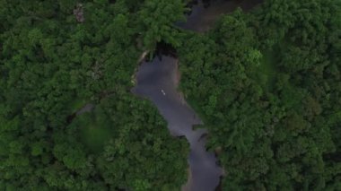 Amazon yağmur ormanları, Brezilya havadan görünümü