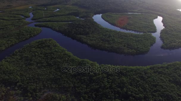 Luchtfoto van Amazon Rainforest, Brazilië — Stockvideo