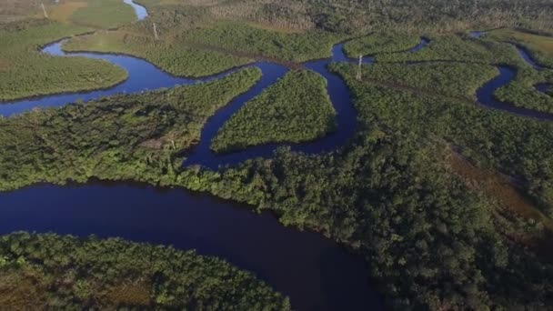 Veduta aerea della foresta pluviale amazzonica, Brasile — Video Stock