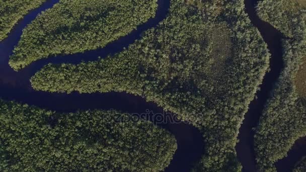 Vista aérea de la selva amazónica, Brasil — Vídeo de stock