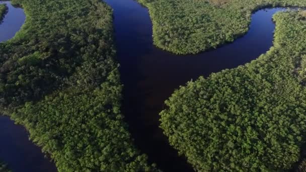 Letecký pohled na Amazon deštných pralesů, Brazílie — Stock video