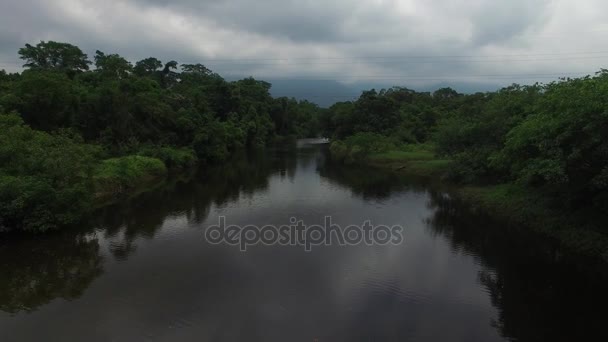 Vliegen rond Amazon Rainforest, Brazilië — Stockvideo