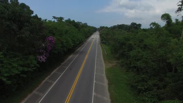 Widok z lotu ptaka Sao Sebastiao wybrzeża, Sao Paulo, Brazylia — Wideo stockowe