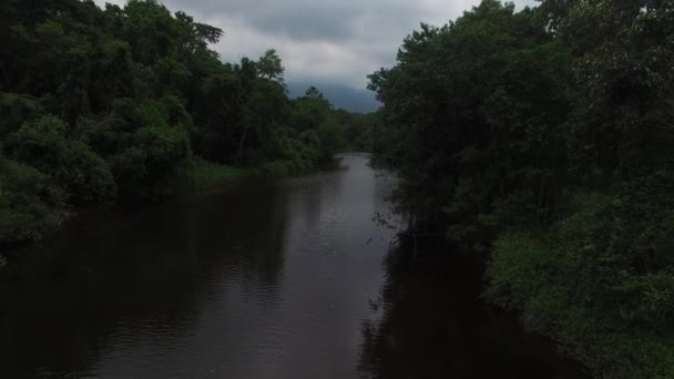 Volando alrededor de la selva amazónica, Brasil — Vídeo de stock