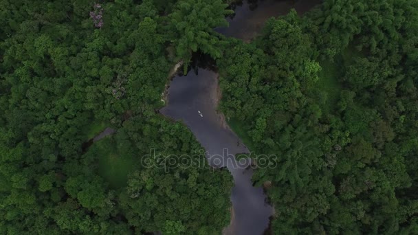 Aerial View of Amazon Rainforest, Brazil — Stock Video