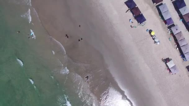 Top pohled na Praia do Engenho, Sao Sebastiao, Sao Paulo, Brazílie — Stock video