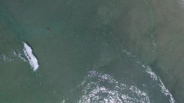 Vue du dessus des vagues dans une plage 