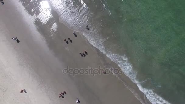 Vue de dessus d'une plage — Video