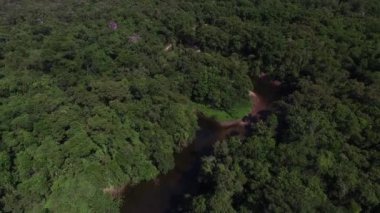 Amazon nehri, Brezilya havadan görünümü