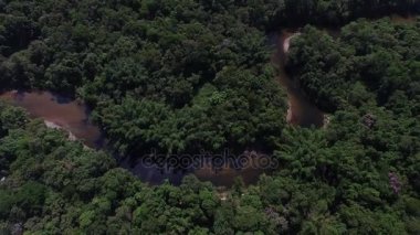 Amazon nehri, Brezilya havadan görünümü