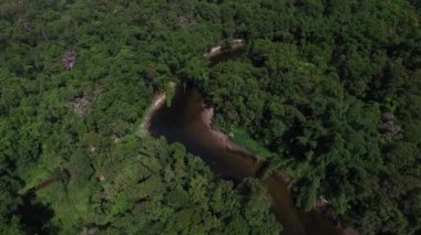 Amazon nehri, Brezilya havadan görünümü