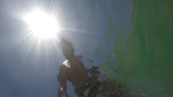 Un homme prend un selfie sous l'eau — Video