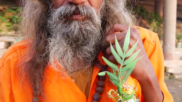 Close Up of Hindu Sadhu Homem Santo — Vídeo de Stock