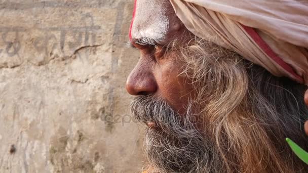 Close Up van hindoe Sadhu Heilige Man — Stockvideo