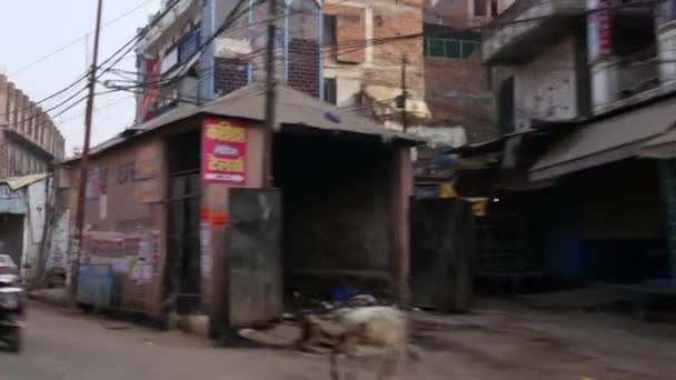 Vārānasi, India - Circa November 2016: Varanasi gator, Indien — Stockvideo