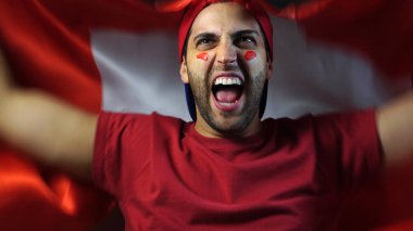 İsviçre sallayarak İsviçre bayrağı adam