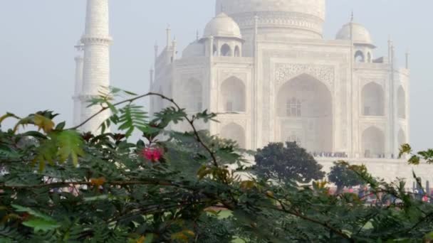 O taj mahal em agra, uttar pradesh, índia — Vídeo de Stock