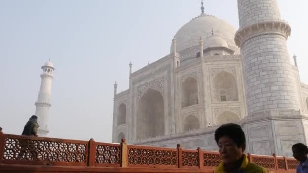 Agra, Indie - około listopada 2016: Taj Mahal w Agra, Uttar Pradesh, Indie — Wideo stockowe