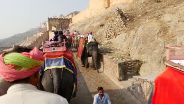 JAIPUR, ÍNDIA - CIRCA NOVEMBRO 2016: POV de elefantes que transportam passageiros no Forte Amber em Jaipur, Rajastão, Índia — Vídeo de Stock