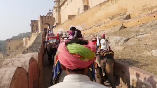 JAIPUR, INDIA - CIRCA NOVEMBRE 2016: POV di elefanti che trasportano passeggeri ad Amber Fort a Jaipur, Rajasthan, India — Video Stock