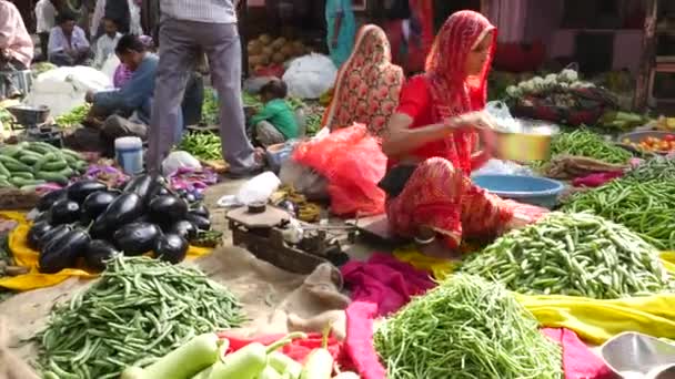 JAIPUR, INDIA - CIRCA NOVIEMBRE 2016: El ajetreado mercado callejero en Jaipur, India — Vídeos de Stock