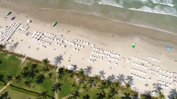 Draufsicht eines Strandes per Drohne — Stockvideo