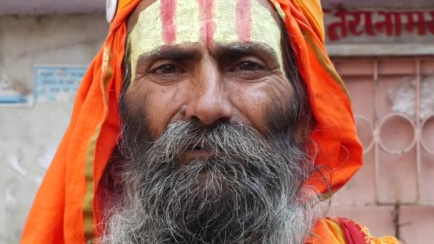 Porträtt av Sadhu - Pushkar, Indien — Stockvideo