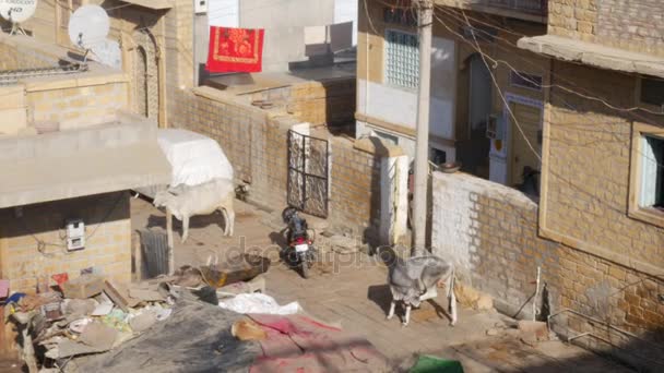 Jaisalmer, Indie - cca listopadu 2016: Pohled Jaisalmer město, Indie — Stock video