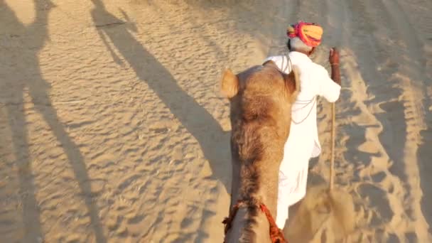 Punto de vista de un paseo de camello en dunas de arena en el desierto — Vídeo de stock