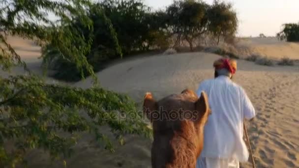 Punto de vista de un paseo de camello en dunas de arena en el desierto — Vídeo de stock