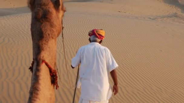 Punto de vista de un paseo de camello en dunas de arena en el desierto — Vídeos de Stock