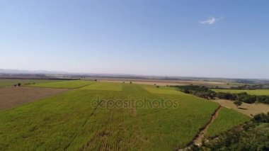 Sao Paulo, Brezilya için kırsal alan