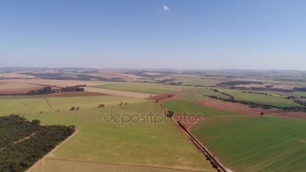 Zona rural en Sao Paulo, Brasil — Vídeos de Stock