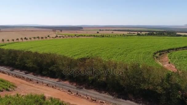 ブラジルの農村地域の航空写真 — ストック動画